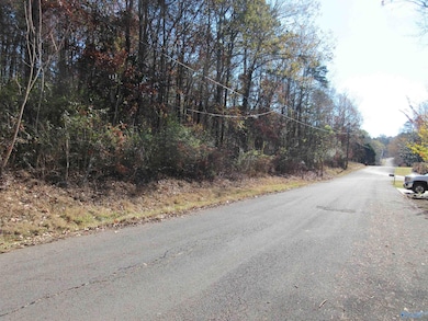 27 Sumner Dr, Scottsboro, AL 35769 - photo 2