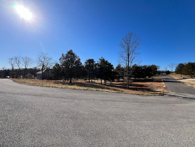 21 Cedar Ln, Willow Springs, MO 65793 - photo 4