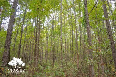 106 Millhouse Rd, Olar, SC 29843 - photo 2