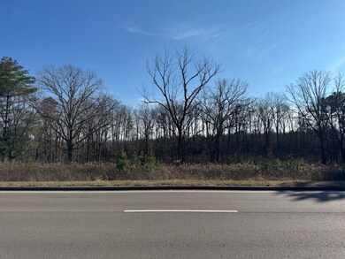 0 Columbia Hwy unit RTC3058032, Hohenwald, TN 38462 - photo 7