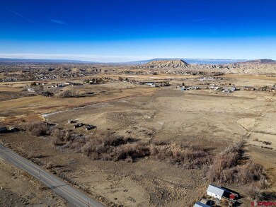 67133 Locust Rd, Montrose, CO 81401 - photo 7