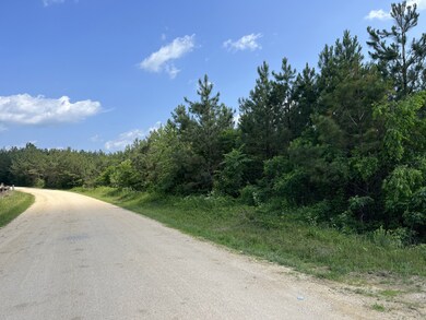 0 Sinking Creek Prong, Linden, TN 37096 - photo 4