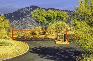 IMG_9999_242_edit