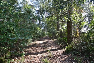 Driveway on LA 40