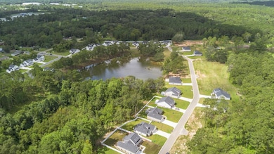 Aerial view of Bloomfield Lakes Subdivision