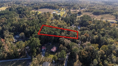 TBD Barnes Rd, Andrews, SC 29510 - photo 6