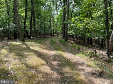 950 Oak Forest Ln, Berkeley Springs, WV 25411 - photo 6