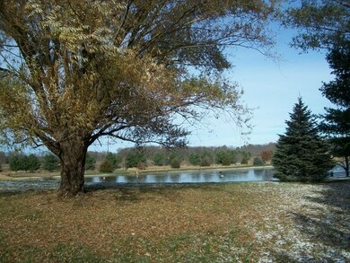 20242 1650 East St, Princeton, IL 61356 - photo 2