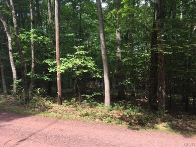 37 Pulpit Rock Ln, Drum, PA 18222 - photo 5