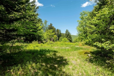Nice homesite