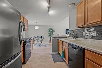 1039 Fillmore Cir NE, Minneapolis, MN 55432 - photo 5