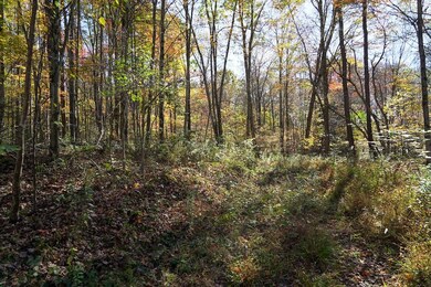 172 Camp Dr, Windber, PA 15963 - photo 6