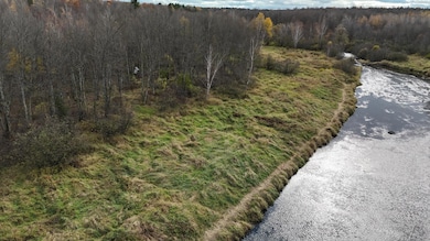 20 Acres, Gleason, WI 54435 - photo 6