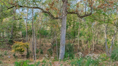 0000 Savannah Hills Ln, Longview, TX 75605 - photo 6