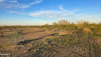 0 W Pampas Grass Place unit 72, Maricopa, AZ 85139 - photo 5