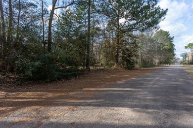 11058 Spring Ln, Cleveland, TX 77328 - photo 6