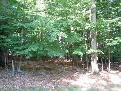 49 Sunrise Trail, Hawley, PA 18428 - photo 4