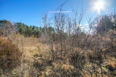 003 Sunset Bay Rd, Gretna, VA 24557 - photo 3