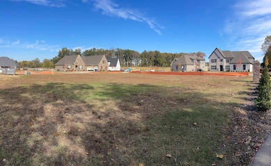 10153 Kaitlynn Rose Dr S, Lakeland, TN 38002 - photo 4