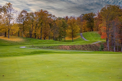 6685 Cedar Trace, Canadian Lakes, MI 49346 - photo 5