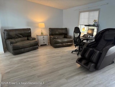 110 Floyd Rd, Carbondale, CO 81623 - photo 7