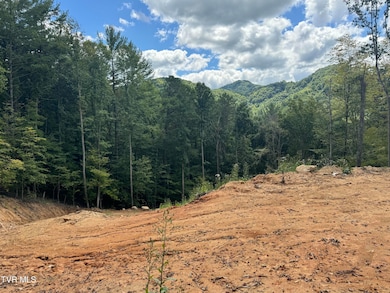 221 Shell Creek Rd, Roan Mountain, TN 37687 - photo 4