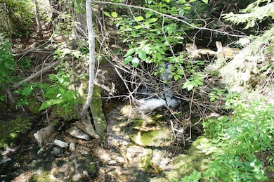 210 S Christisen Creek, Conner, MT 59827 - photo 5