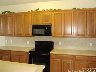 25622 Texas Ash, San Antonio, TX 78261 - photo 3