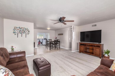 Newer Carpet!