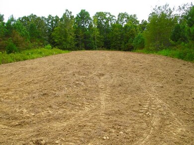 TBD County Road 103, Lafayette Springs, MS 38655 - photo 3