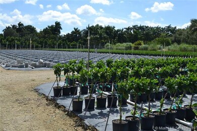 18801 SW 232nd St, Miami, FL 33170 - photo 2