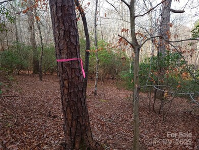 000 Skylark Ln unit 8, Tryon, NC 28782 - photo 5