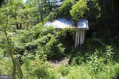 1269 Dickenson Mountain Rd, Franklin, WV 26807 - photo 3