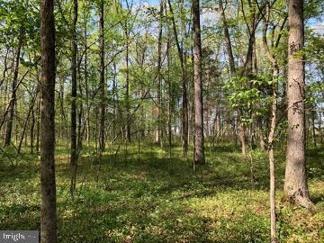 5174 Ritchie Rd, Bealeton, VA 22712 - photo 6