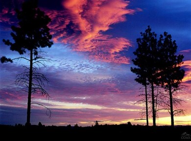 61637 Hosmer Lake Dr, Bend, OR 97702 - photo 6