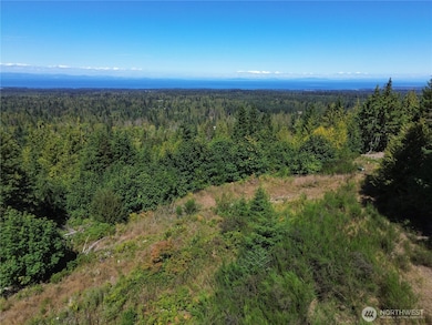 596 Watershed Rd, Port Angeles, WA 98362 - photo 2