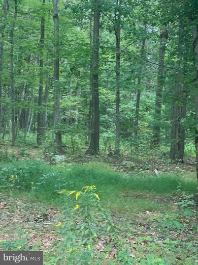 0 Germanville Rd, Ashland, PA 17921 - photo 6