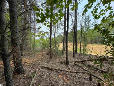Lot #1 E Bellinger Rd unit 1, Cedar, MI 49621 - photo 5