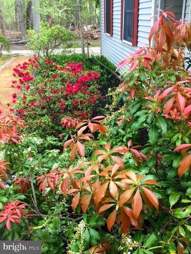 210 Vasey Ave, Lindenwold, NJ 08021 - photo 5