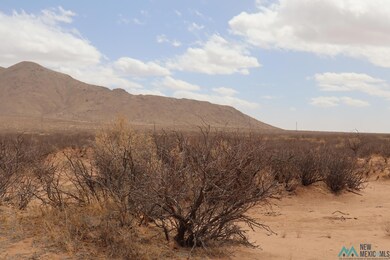 0 Ojo Rd SW unit 20251306, Deming, NM 88030 - photo 5