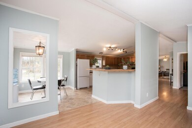 6 Guinea Road
