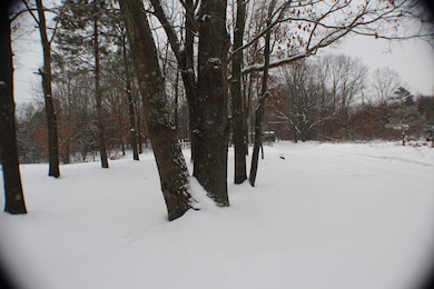 17790 Monroe Rd, Morley, MI 49336 - photo 7