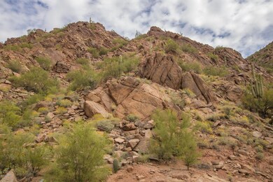 NORTH UP THE MOUNTAIN