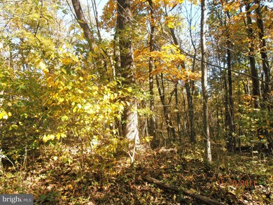 18 Axton Ln, Linden, VA 22642 - photo 7