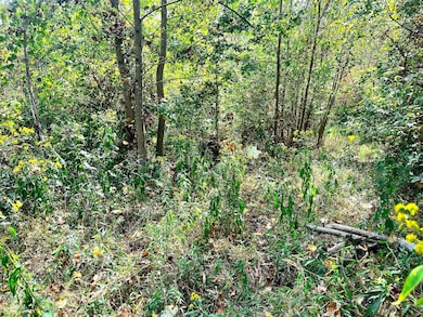 State Route 124, Pomeroy, OH 45769 - photo 3