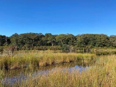 2 Swan Neck Rd, Edgartown, MA 02539 - photo 2