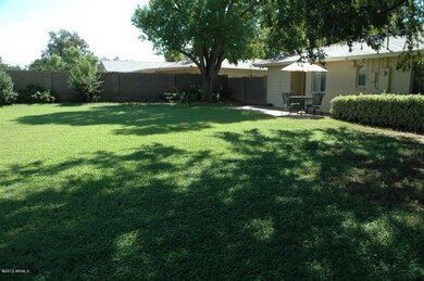 Large Irrigated Rear Yard