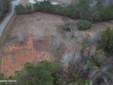 00 Duck Ln, Scotts Hill, TN 38329 - photo 4