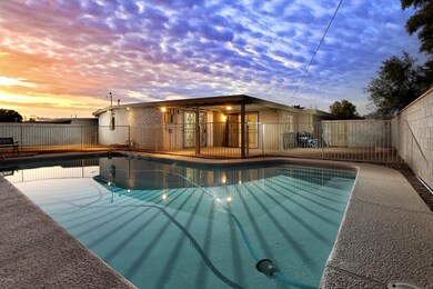 Backyard with Pool