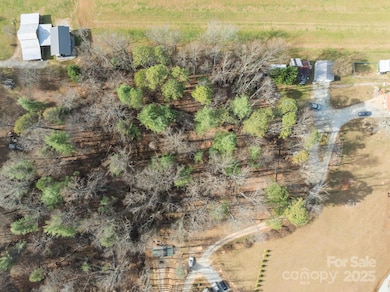 99999 Twin Lakes Dr, Dana, NC 28731 - photo 5